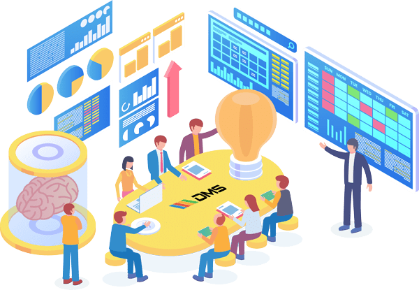 IT consultancy services — DMS